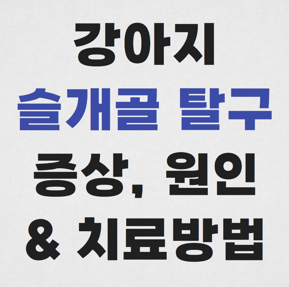 강아지-슬개골-탈구-증상,-원인-및-치료방법