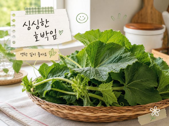 호박잎 찌는법
