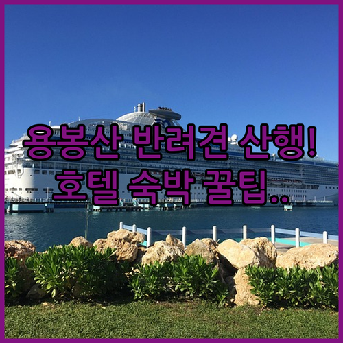 충남 용봉산 강아지 동반 산행 코스와..
