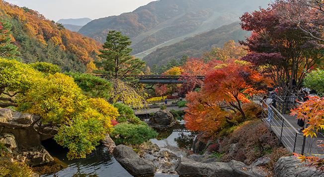 화담숲 예약, 모노레일 예약 과 서울 인근 단풍 명소 BEST 5