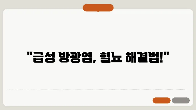 급성 방광염 혈뇨 원인 및 해결방안