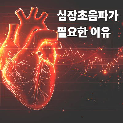 심장초음파가 필요한 이유