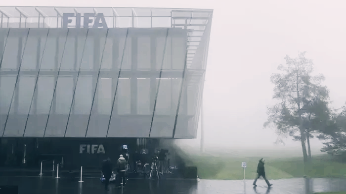 FIFA 평의원 혜택