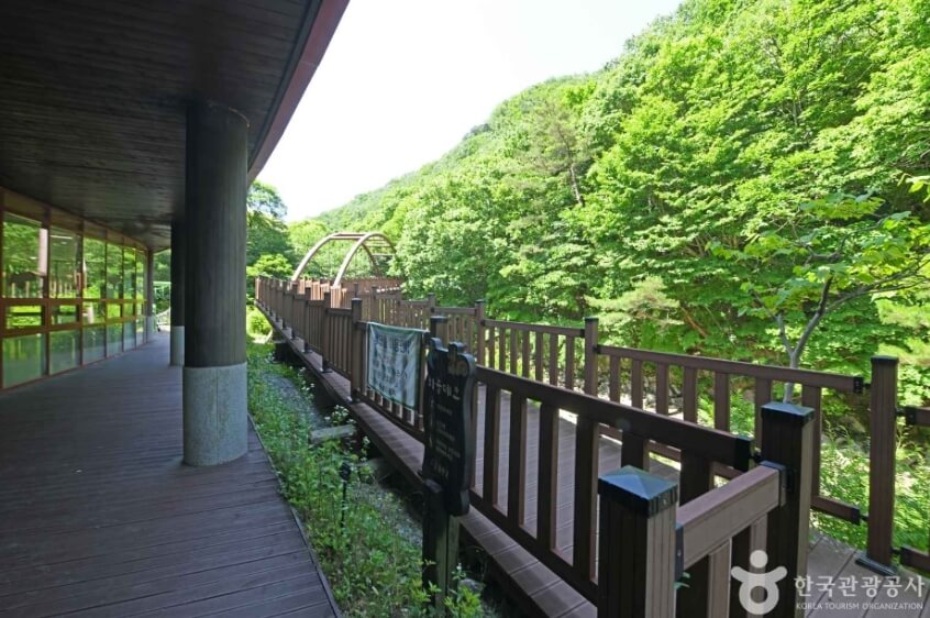 금산 가볼만한곳 베스트 10