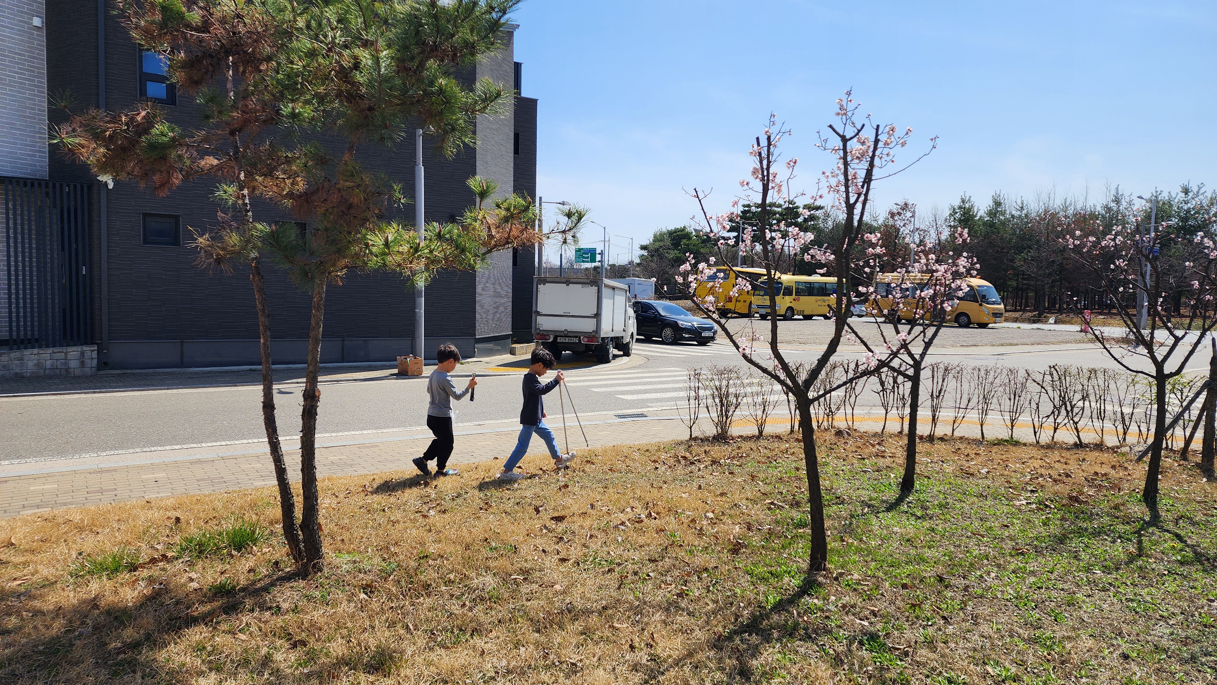 혼합 식재를 해서 풍성해진 정원의 모습