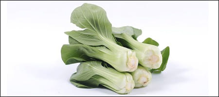 청경채 묶음