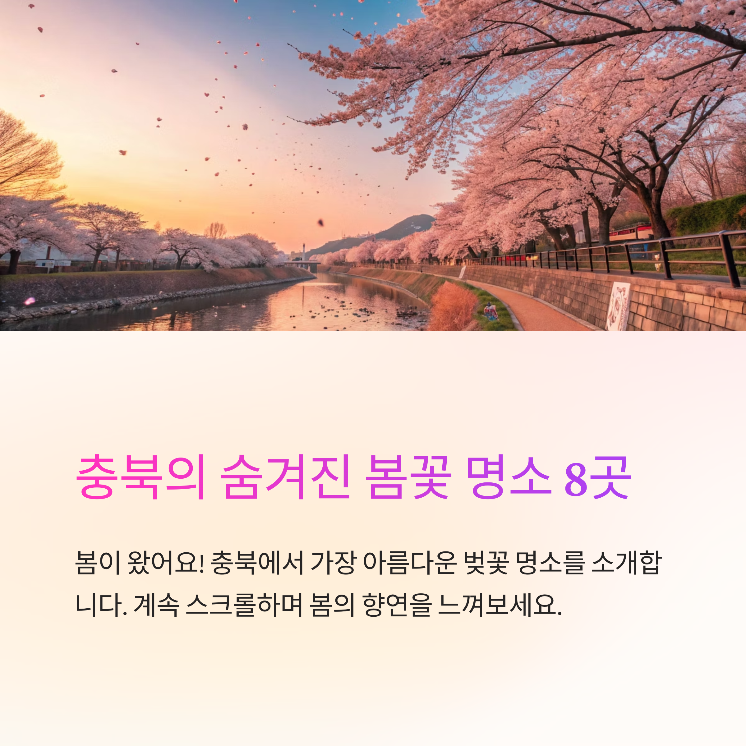 충북 봄꽃 명소 어디일까