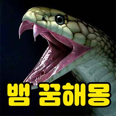 뱀 꿈해몽