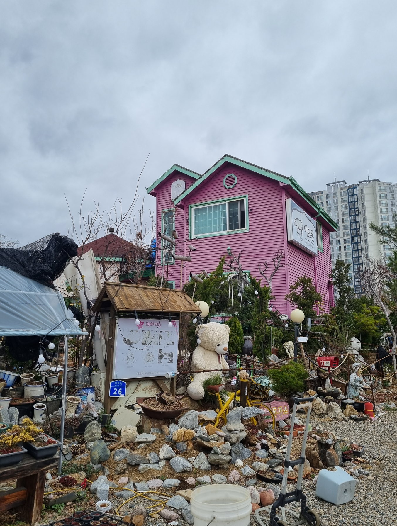 강원도 이츠돈 돈가스