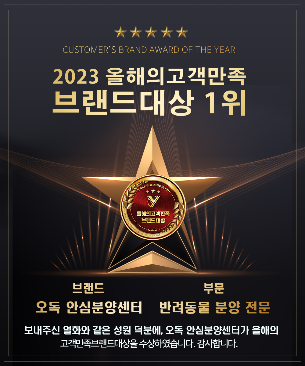 오독안심분양센터 강아지분양 고양이분양 광주점