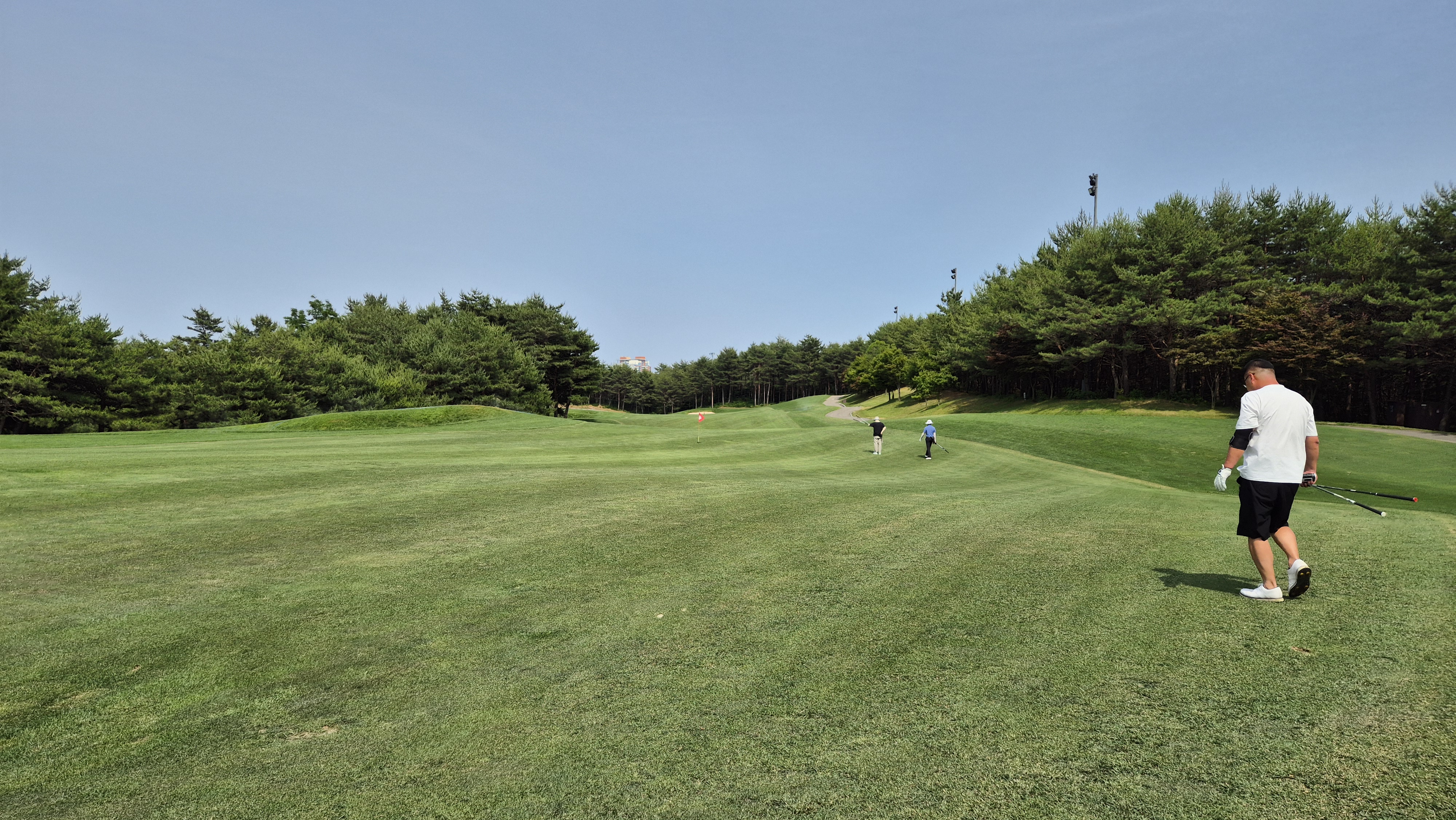 파인리즈cc 후기 및 코스사진