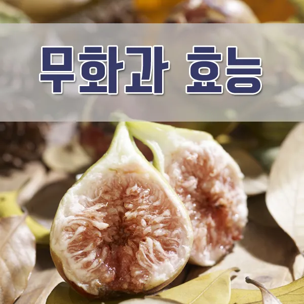 무화과 효능 칼로리 먹는 방법 수확시기 보관법_5