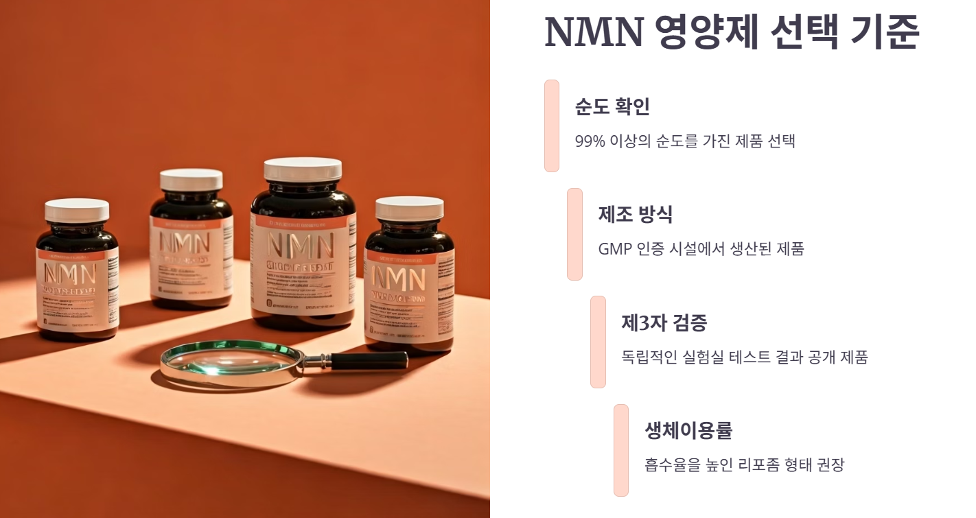 NMN 복용법 및 좋은 제품 고르는 법