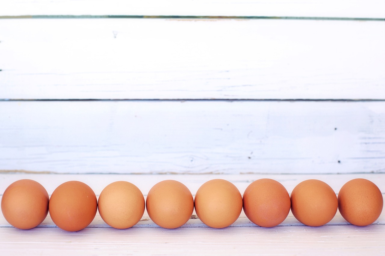 egg