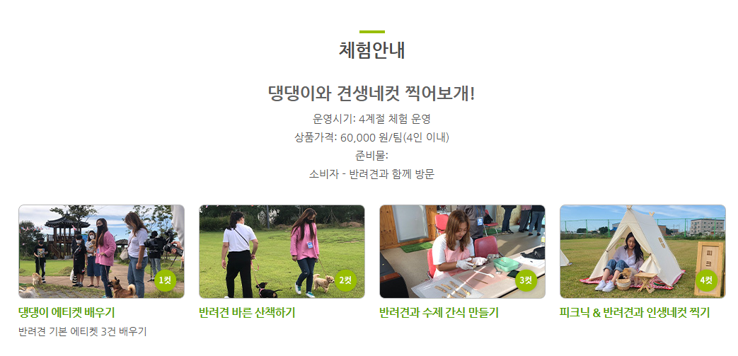 생방송투데이 쌀겨 효소 발효 찜질 반려견 힐링체험 초록미소마을 정보