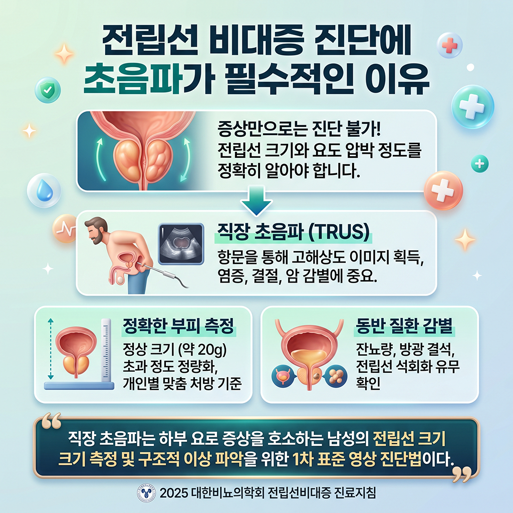 전립선비대증 진단에 초음파 검사가 필수인 이유