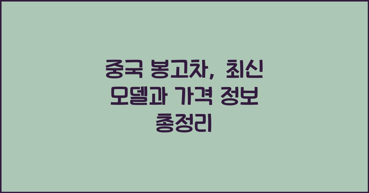 중국 봉고차