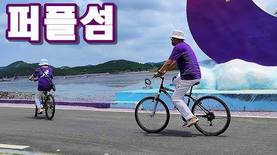신안 퍼플섬 여행 가이드 - 보랏빛 낭만 속으로!