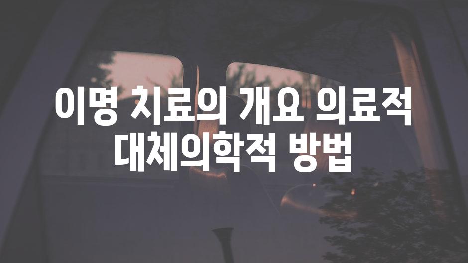 이명 치료의 개요 의료적 대체의학적 방법