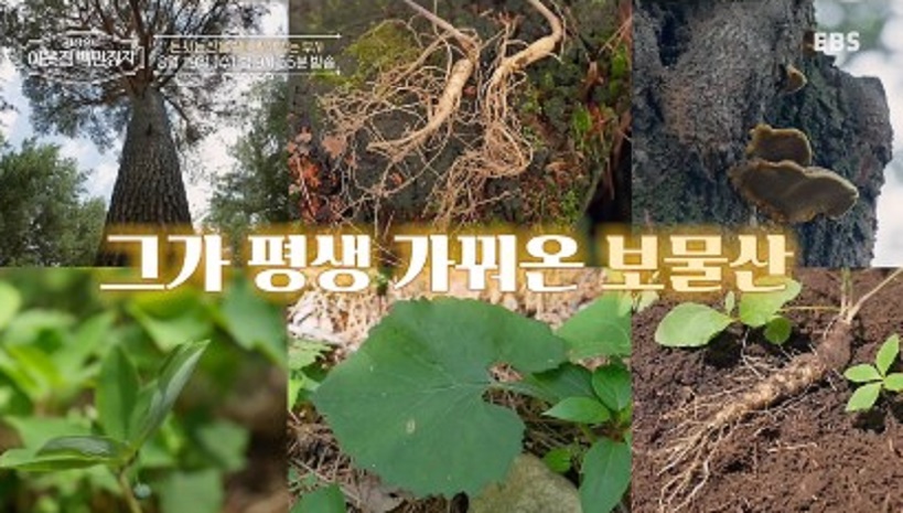 이웃집-백만장자-박정희-산양삼-캠핑장