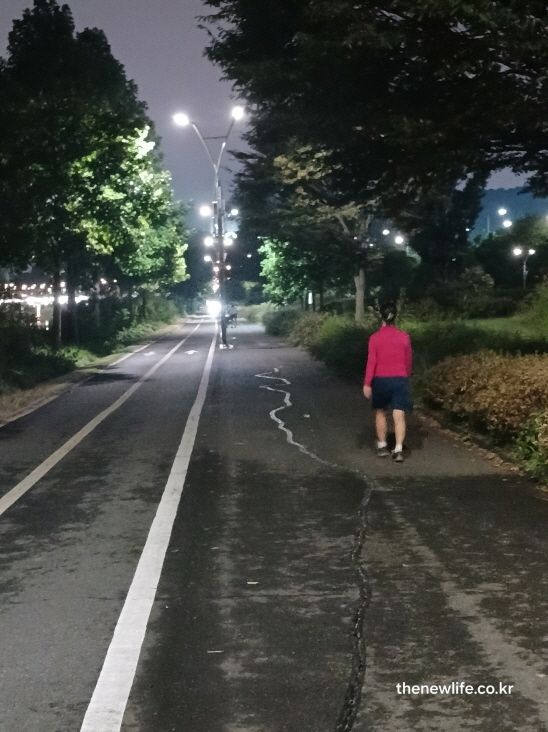 야간 걷기 운동 – 올바른 보폭과 자세를 유지하는 여성 모습