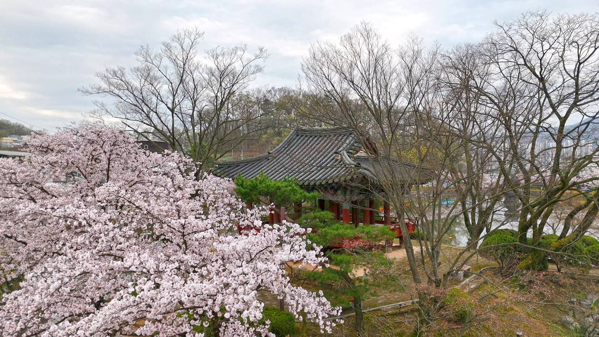 김천 연화지