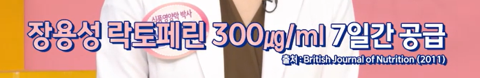 락토페린 효능