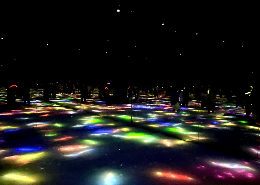 일본 도쿄 팀랩 플래닛 여행-사람과 함께 춤추는 잉어가 그리는 수면 위의 드로잉