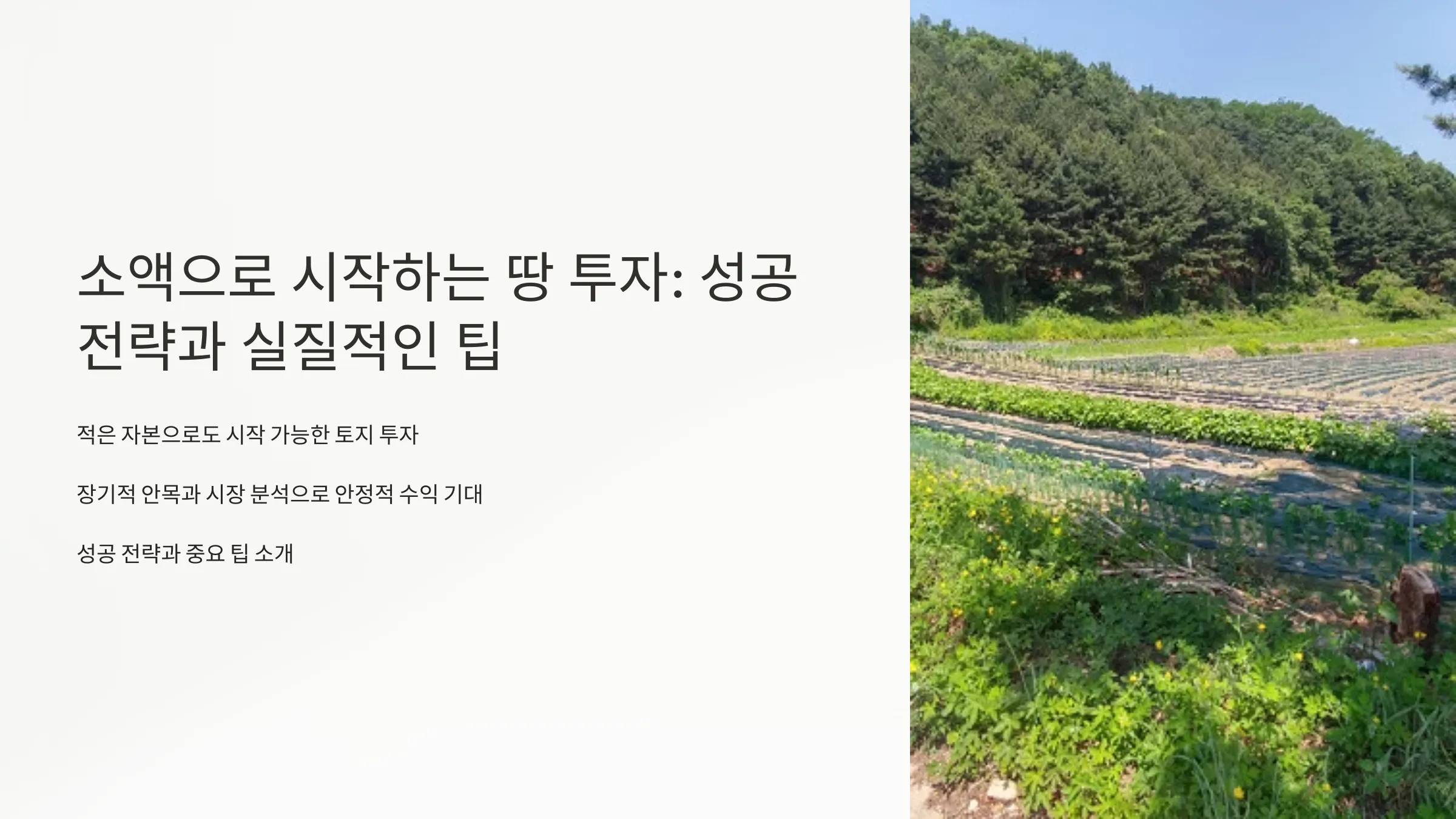 소액으로 시작하는 땅 투자