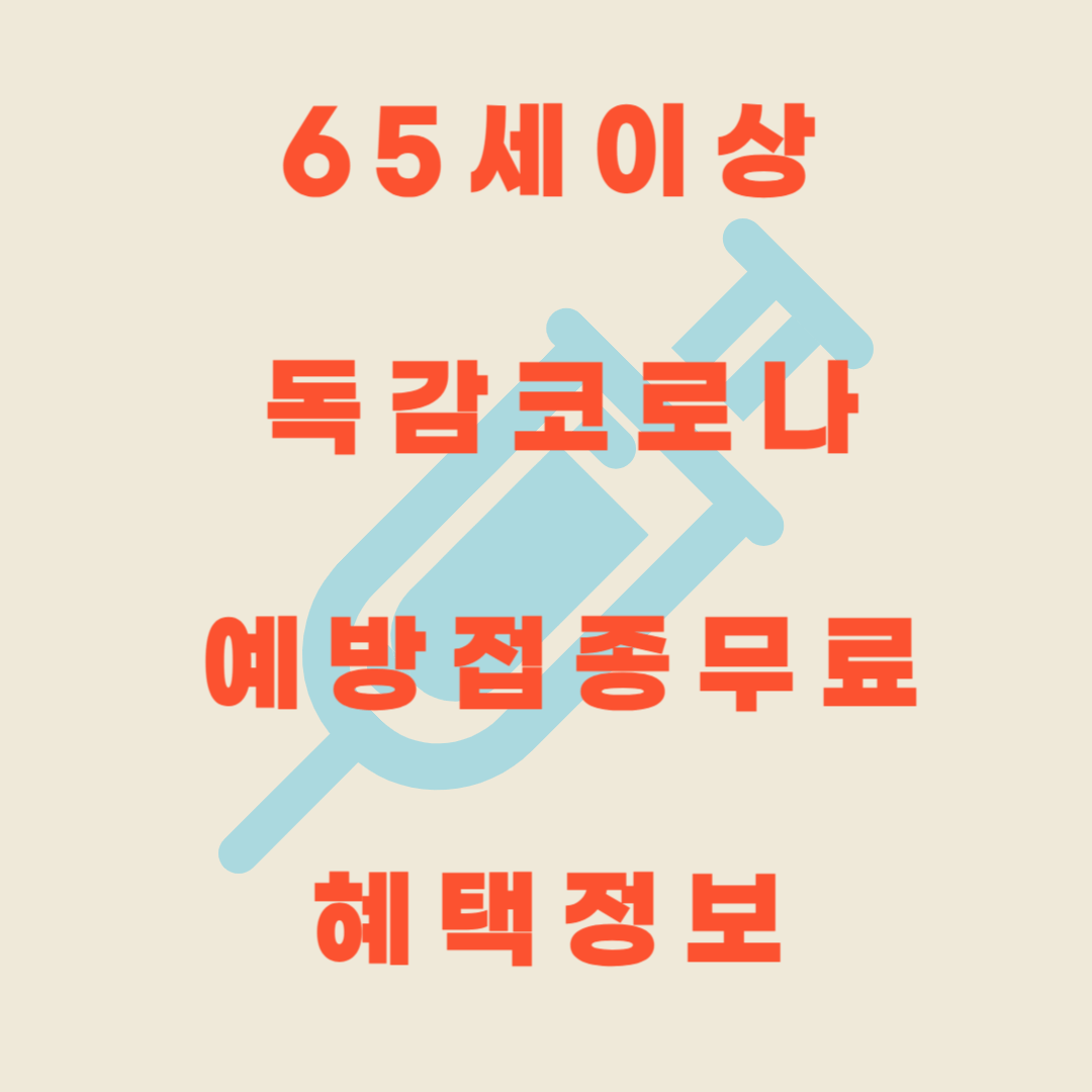 65세 이상 독감 코로나 예방접종 무료 혜택