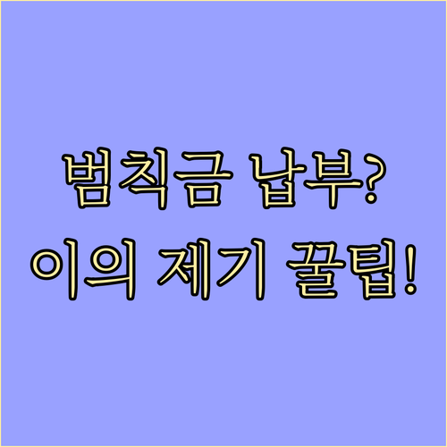교통 위반 과태료 범칙금 납부 기한과..