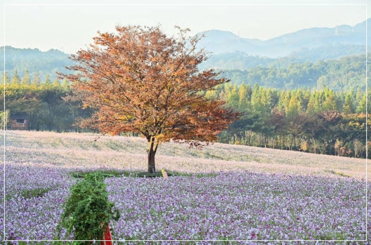 예산 가볼만한곳 베스트10 아그로랜드 태신목장
