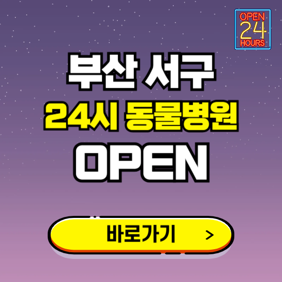 부산 서구 24시 동물병원 진료하는 곳 ❘ 설날 휴일 야간 심야 문여는곳 찾기 ❘ 응급진료