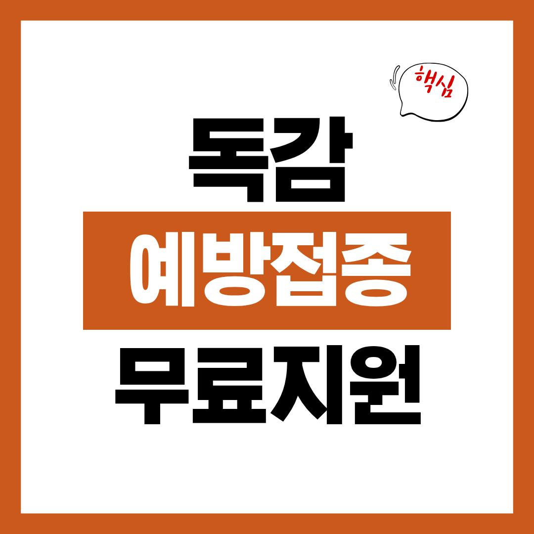 65세 이상 독감 예방접종 무료 지원자격과 신청방법 관련 병원 알아보고 바로 신청하기