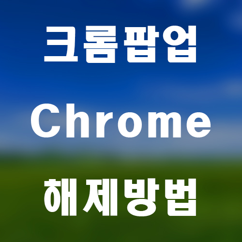 크롬팝업-썸네일