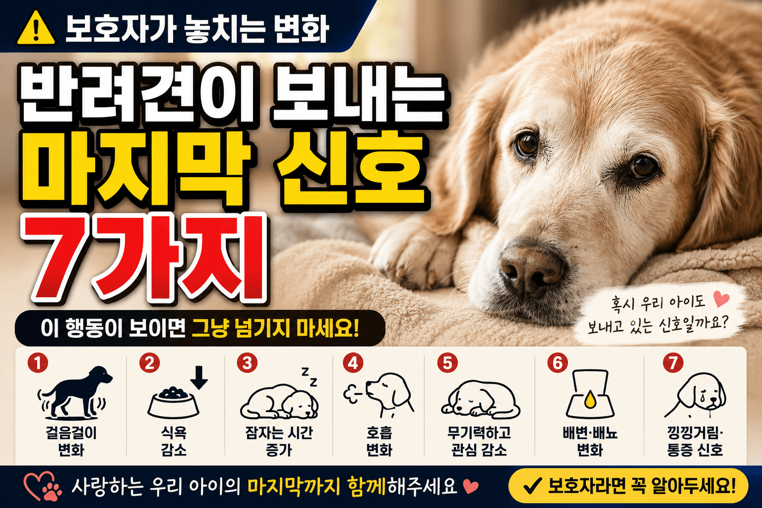 반려견의 마지막에 보내는 신호