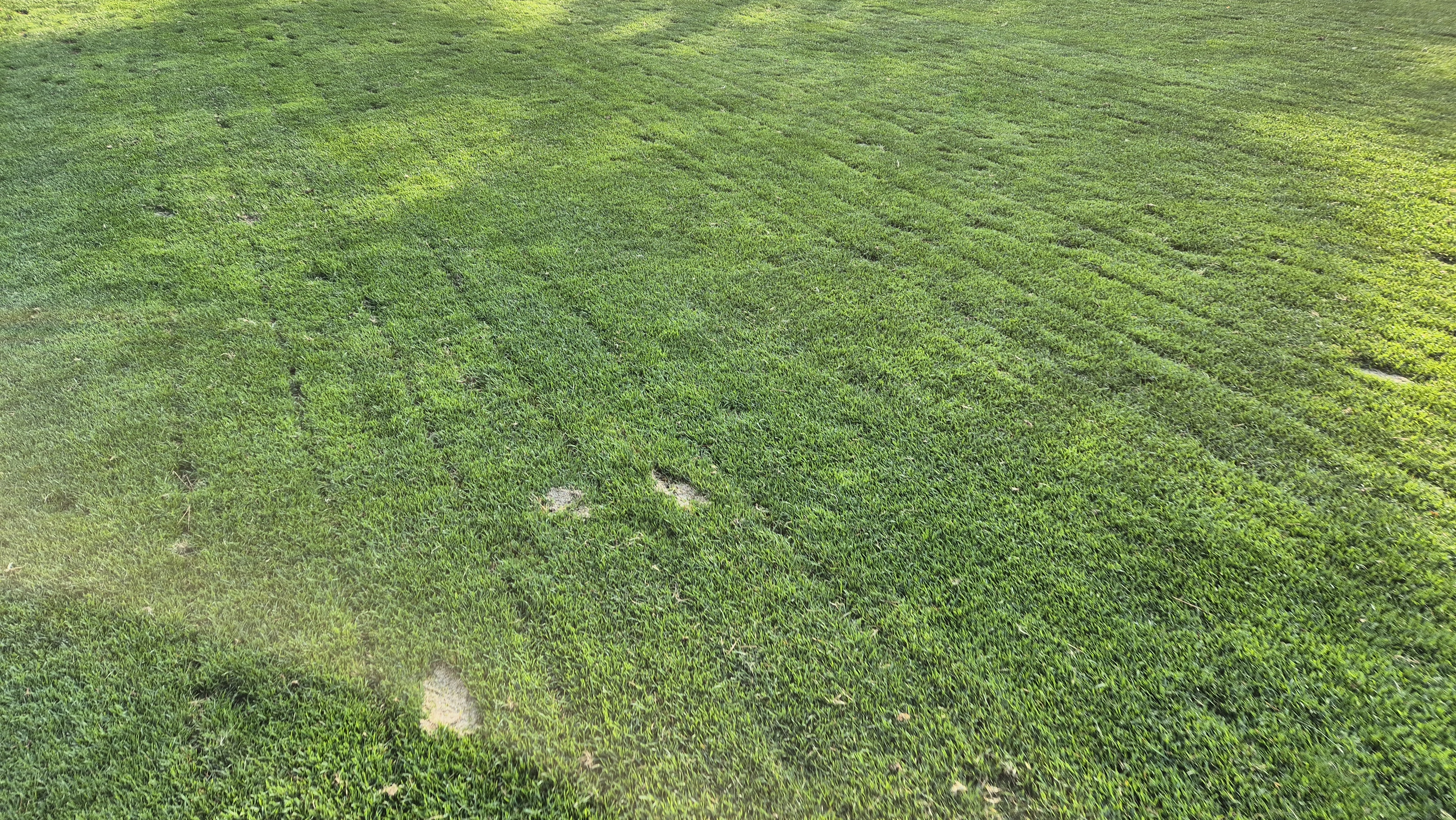 소노펠리체cc 비발디파크 웨스트