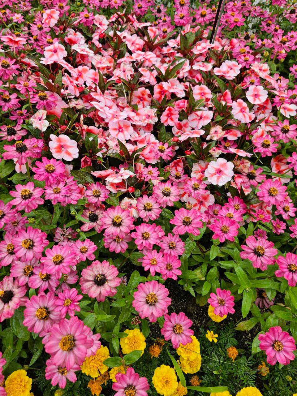 AI 기반 장애인 복지 서비스 해외사례