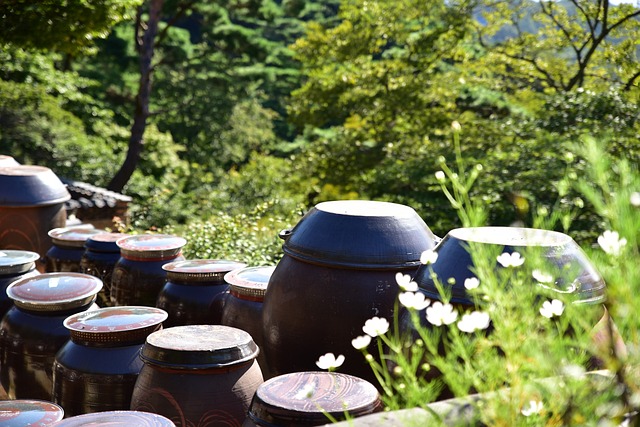 2000년대 한국드라마 관련 사진자료
