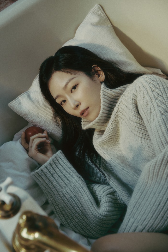 서현진 청담동 전세금 경매
