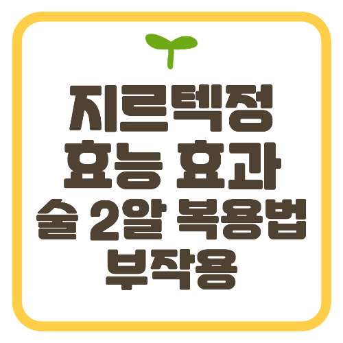 지르텍정 효능 효과 술 2알 복용법 부작용