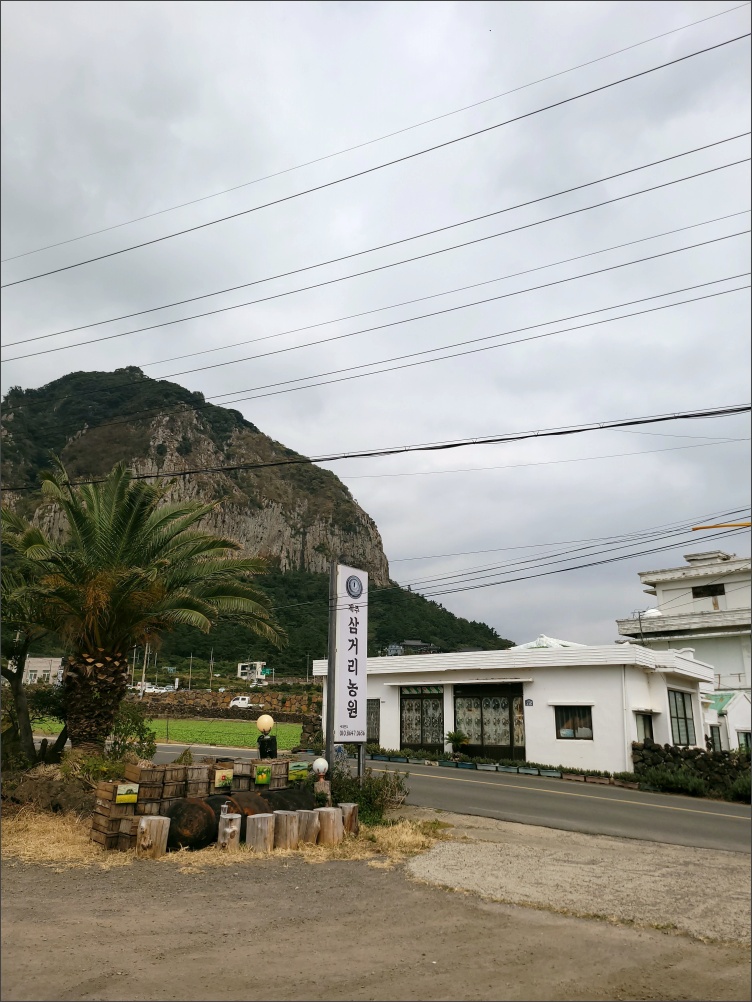 삼거리농원-외부-입구