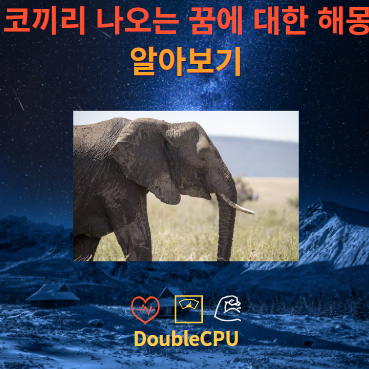 코끼리 나오는 꿈에 대한 해몽 뜻 풀이