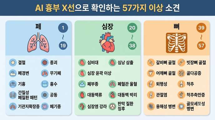 AI 흉부 X선 이상 소견 분류