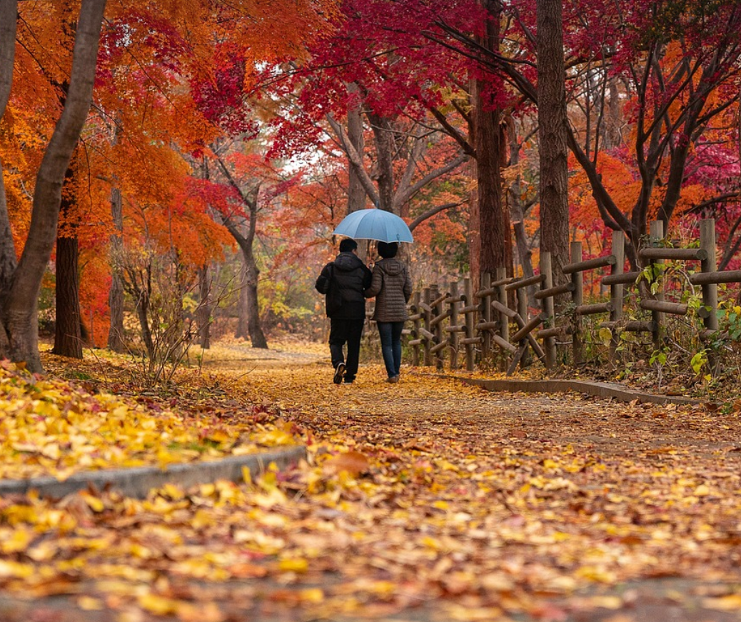 썸녀와 함께하는 부담 없는 드라이브 코스 추천: 서울 근교 BEST 5