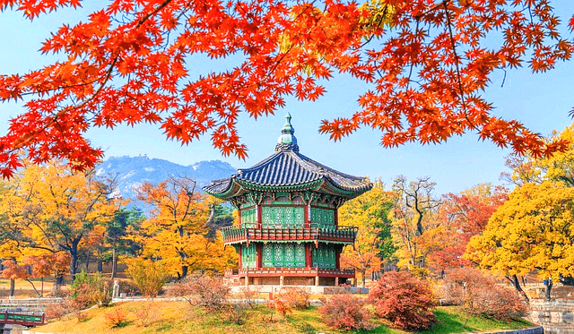 붉은 단풍이 가득하고 노란 은행잎이 가득한 나무들이 있는 경복궁 내부 풍경이다. 작은 정자가 연못 안에 있다.