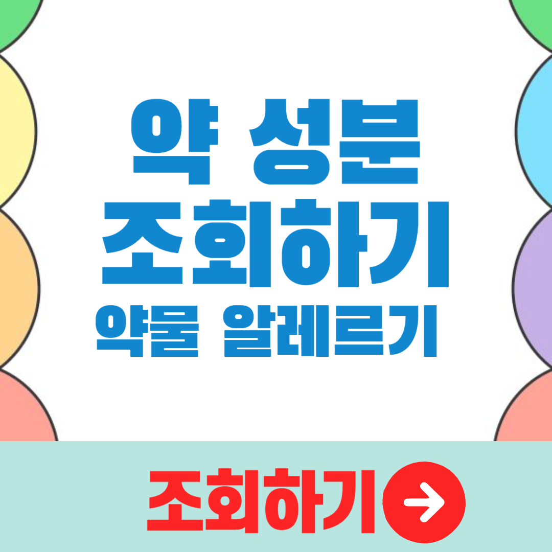 2024 내가 먹는 약 성분 조회하는 방법 (약물 알레르기 관리하기)