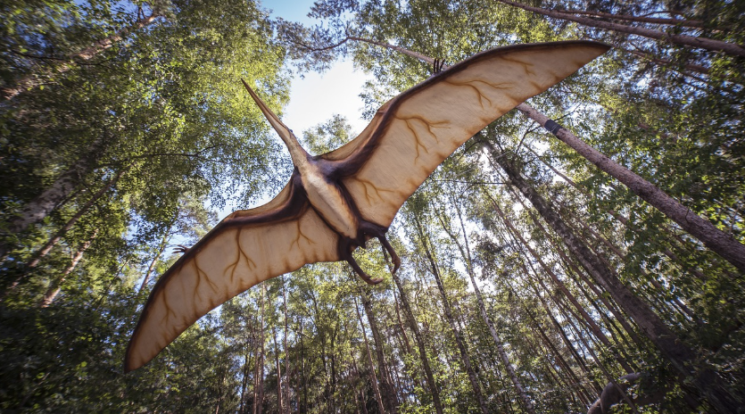 하늘을 나는 익룡