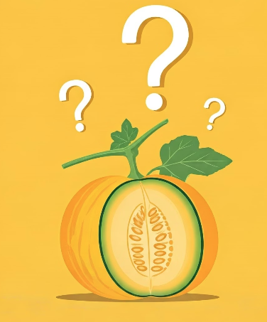 자주 묻는 질문 Q&amp;A