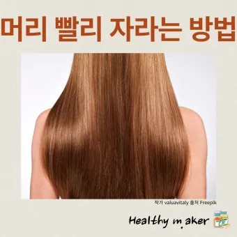 머리카락 굵게 만드는 방법 8가지와 두피관리 팁 안내_6